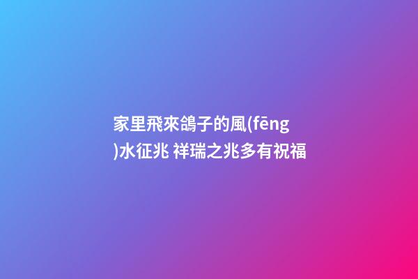 家里飛來鴿子的風(fēng)水征兆 祥瑞之兆多有祝福